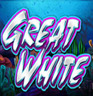 The Great White
